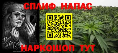 МДПВ Можайск