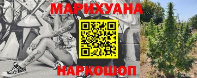 PSILOCYBIN Можга